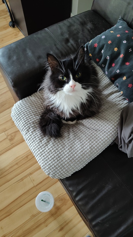 Benji