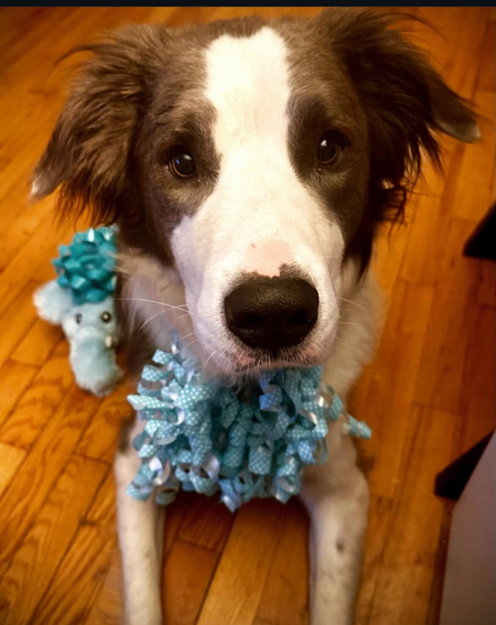 Rufio