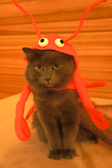 Homard