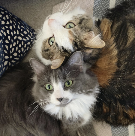 Georgia & Sylvie 