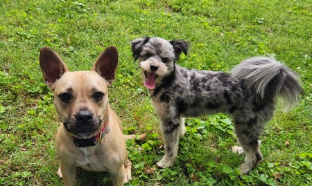 Dolly and Patches