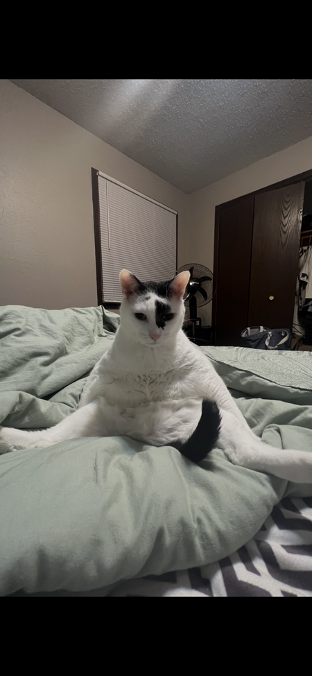 Oliver