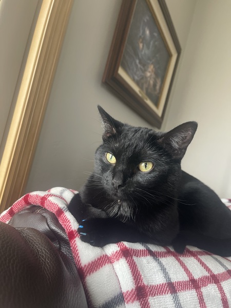 Ember