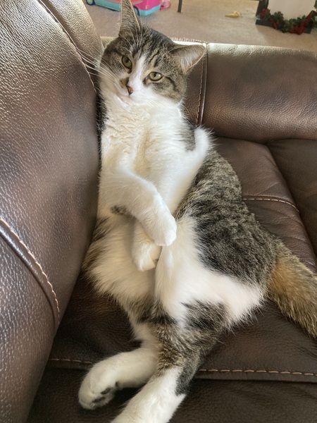 Sebastian 