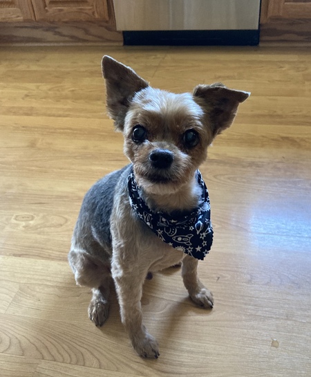 Charlie