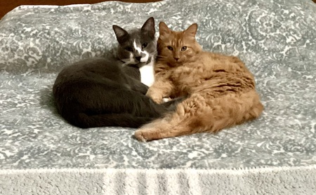 Ranger and Blossom