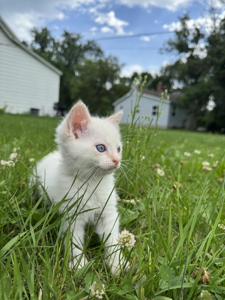 Monroe
