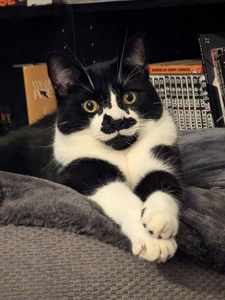 Arthur aka "Artie"