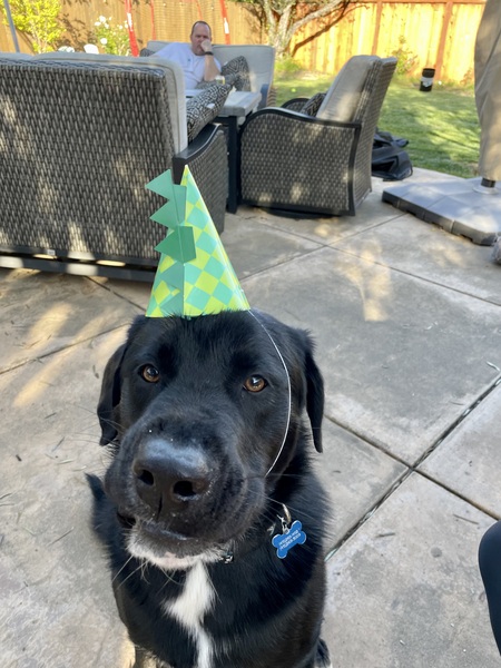 Gus