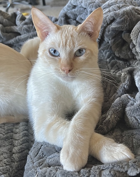 Almond