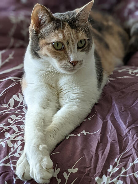 Chloe