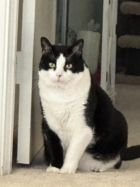 George