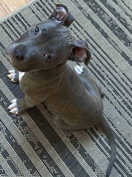 Rosie