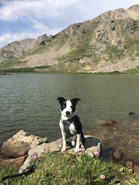 Summit