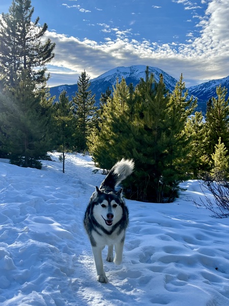 Mia