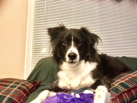 Milo
