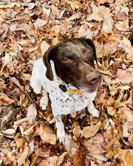 Duke: yes I got into it, Dad…