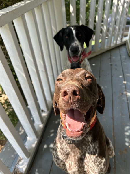 Gunner & Patti
