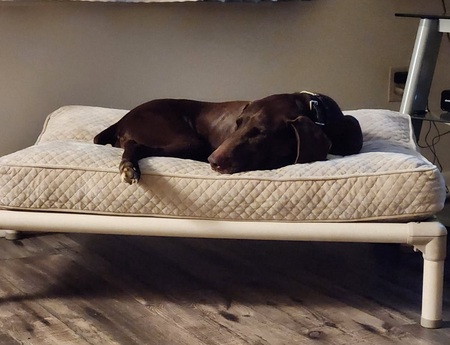 Zeus