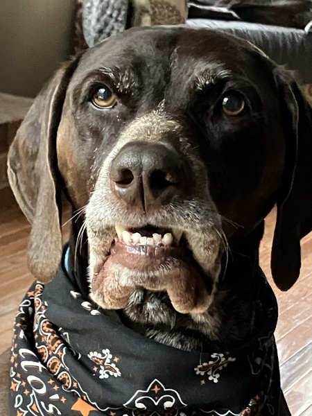 Gunnar