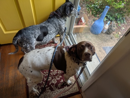 Della and Arlo