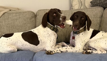 Parker & Wyatt