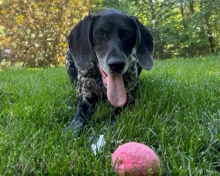 Ellie