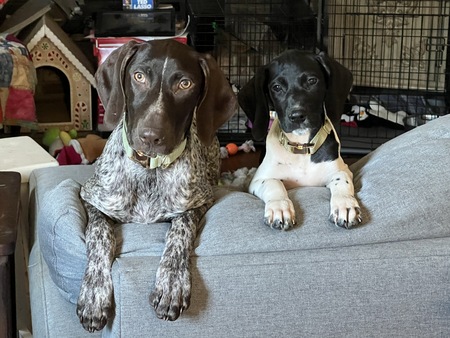 Lilly and Juniper 