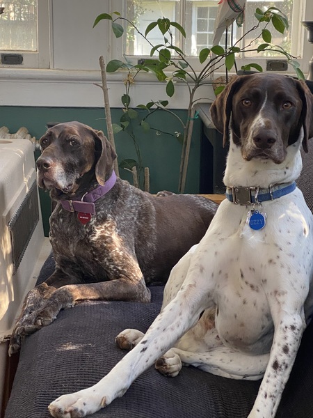 Obie and Ozzy