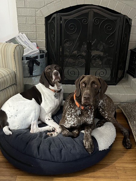 Drake and Tucker