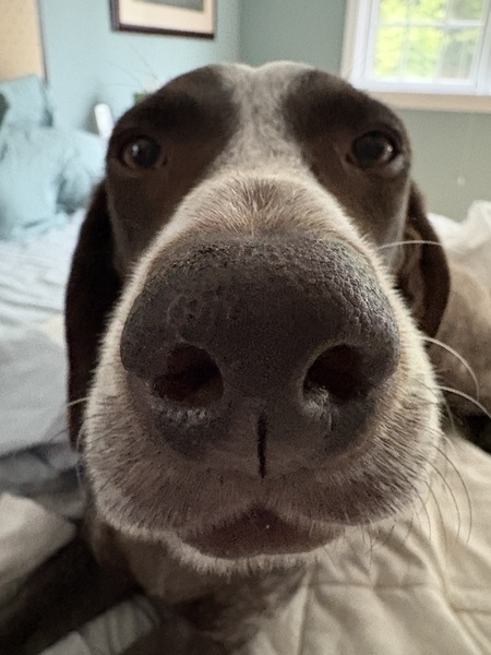 Molly