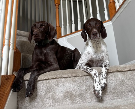 Raudi and Stella