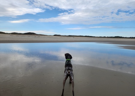 Ranger, A Boy and a Beach