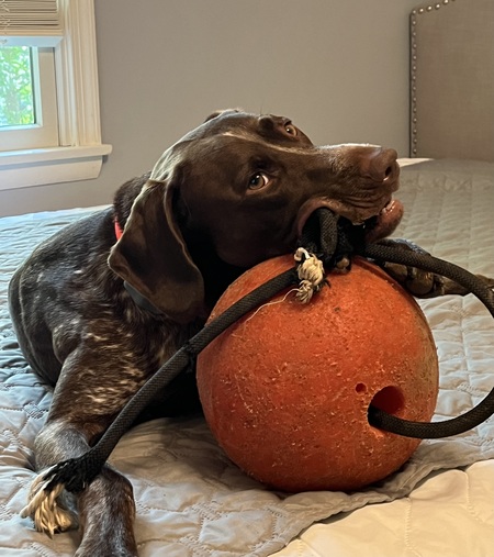 Maggie