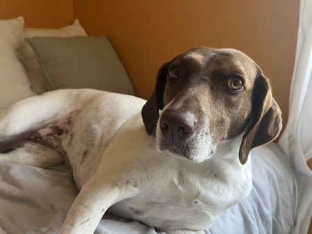 Oakley