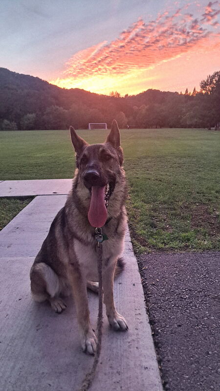 MAXX
