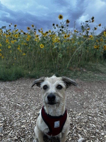 Jax