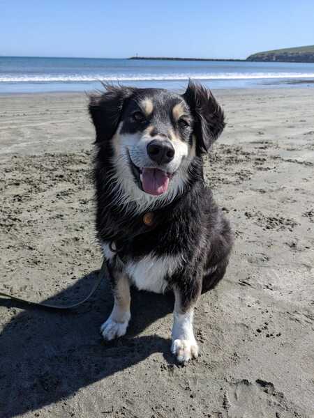 Zuko