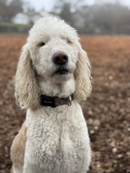 Toby!