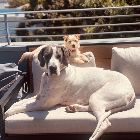 Theodosia & Inigo Montoya