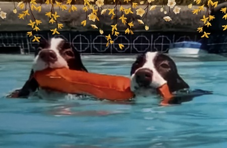 MackE & SnickErs