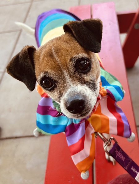 Penny