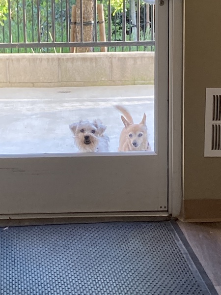 Baxter and Baby 