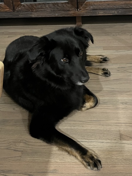 Seamus