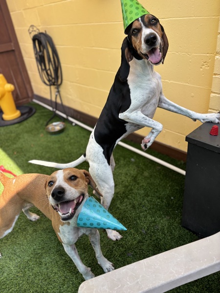 Gemma & Jonas