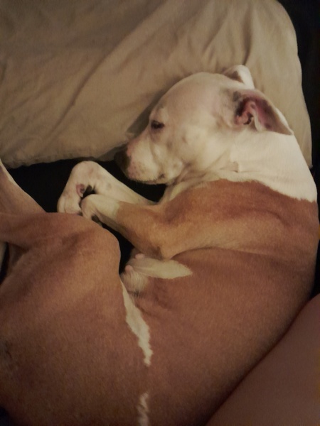 Ms. Delilah 