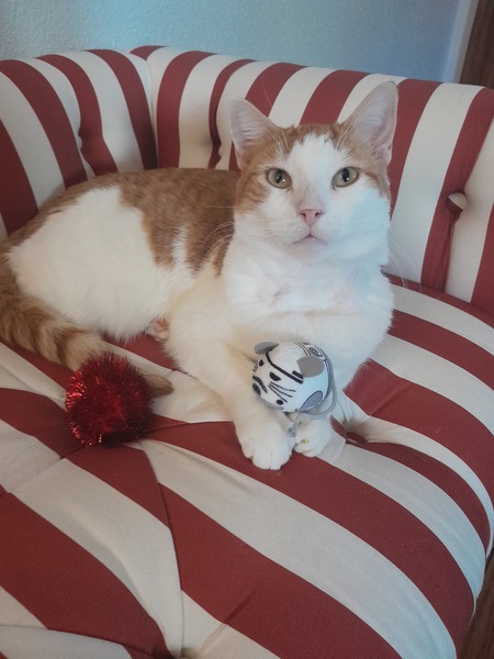 Jameson aka Jimmy
