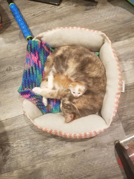 Mabel and Goose