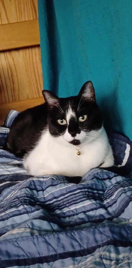 Artemis