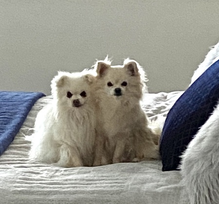 Bea and Mia